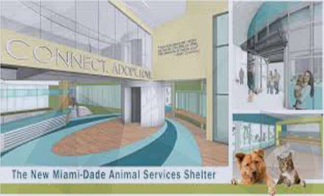 miami county animal shelter dogs for adoption